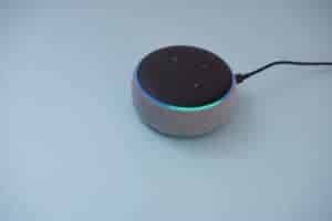 Smart speaker device responding to voice